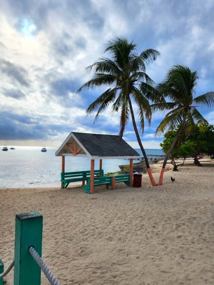 Winter vs Summer in Grand Cayman